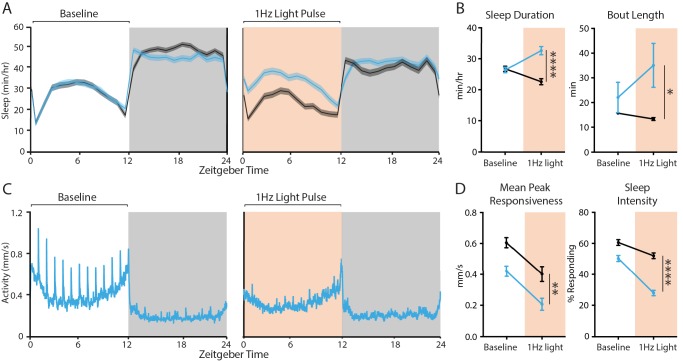 Figure 2—figure supplement 3.