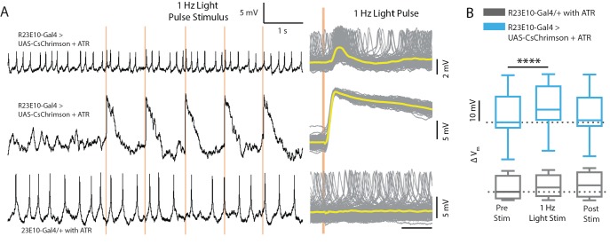 Figure 3—figure supplement 1.