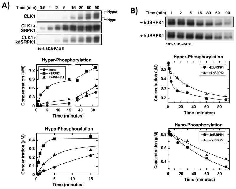 Figure 4: