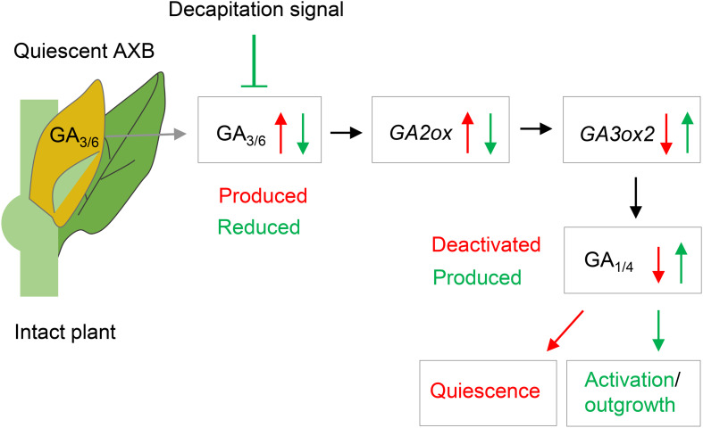 FIGURE 9