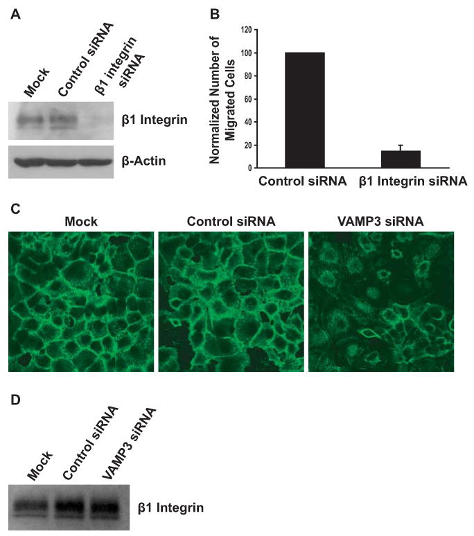 Fig.3