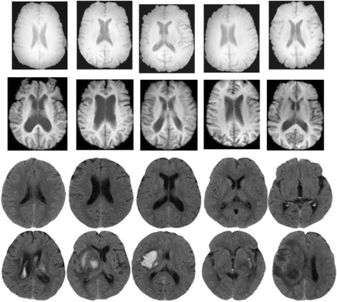 Fig. 2
