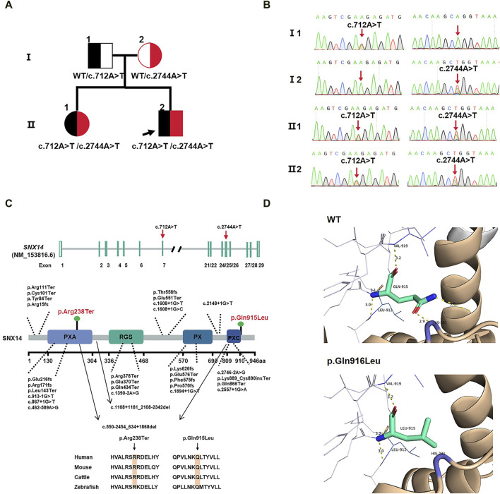 FIGURE 2