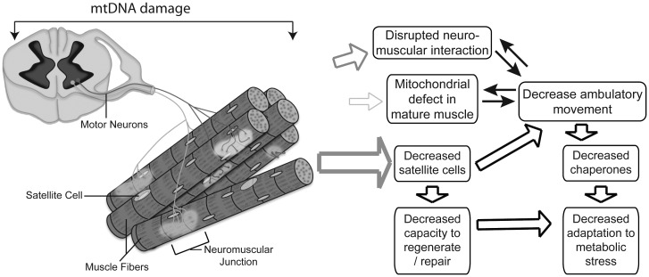 Figure 5.