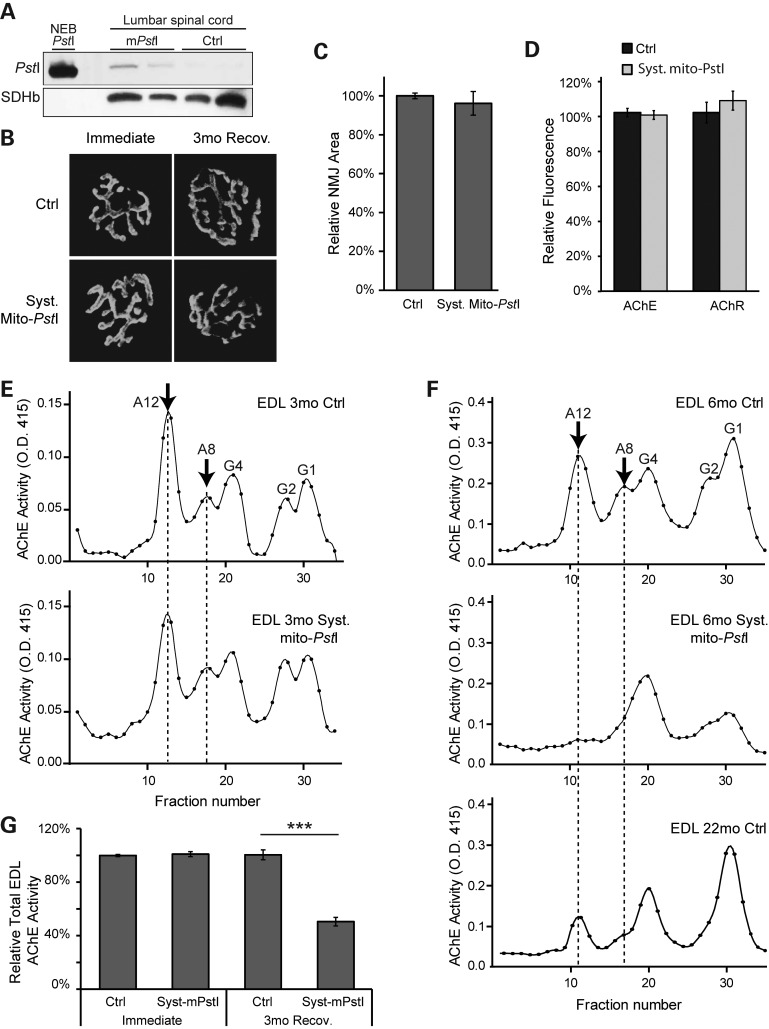 Figure 4.