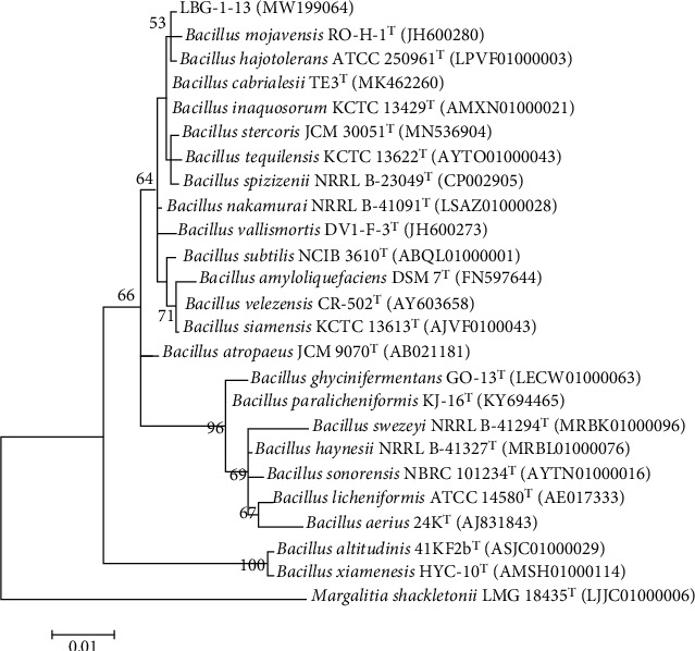 Figure 2