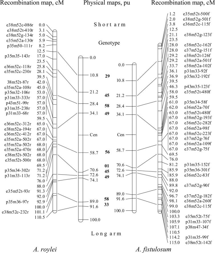 Figure 2.—