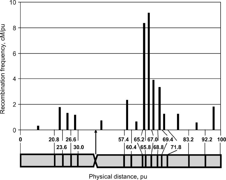 Figure 5.—