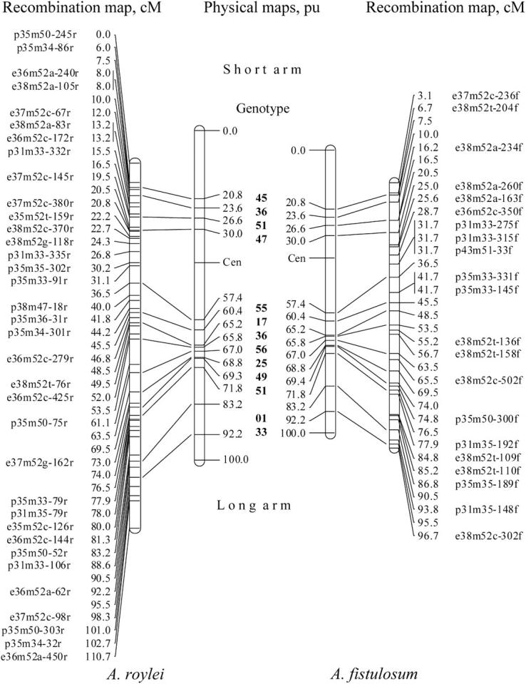 Figure 3.—