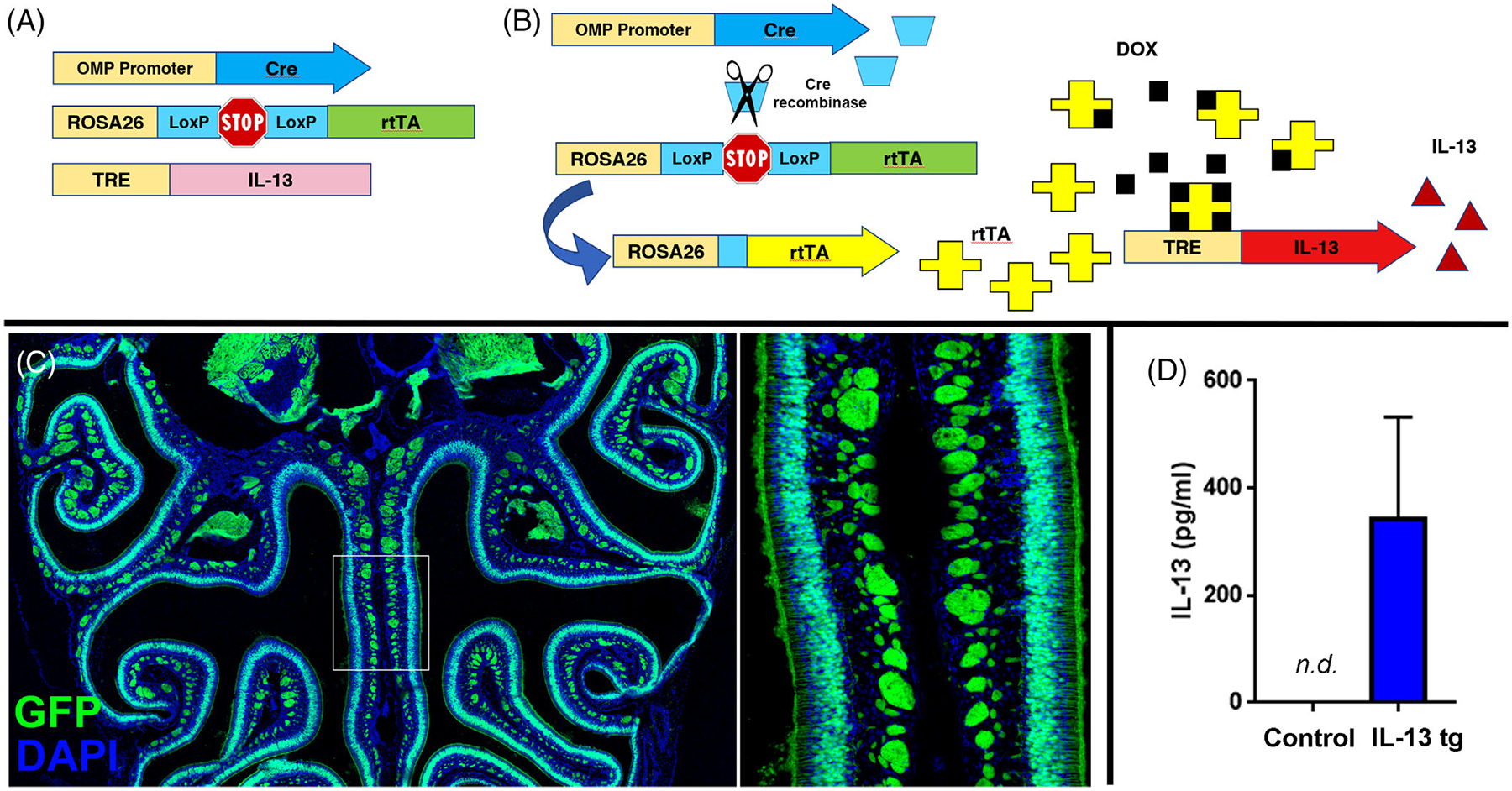 FIGURE 1