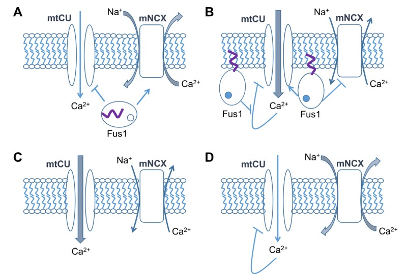 Figure 9