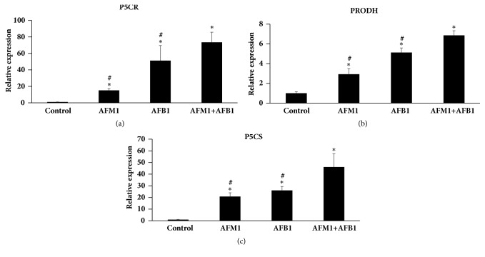 Figure 5