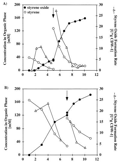 FIG. 6