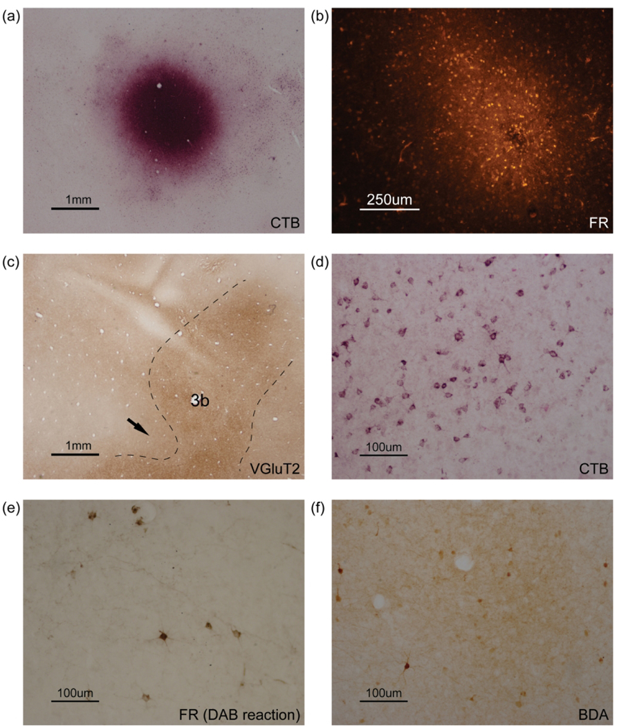 Figure 3.