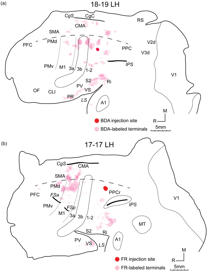 Figure 7.