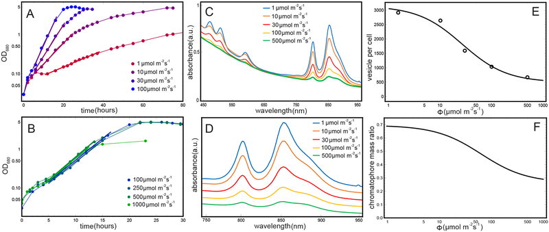 Figure 3: