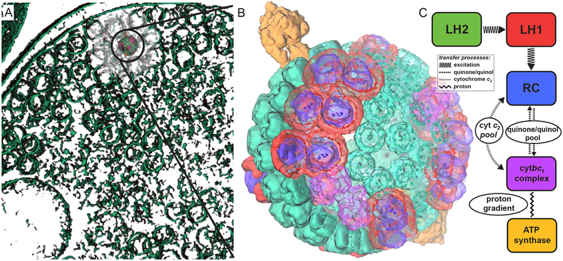 Figure 1: