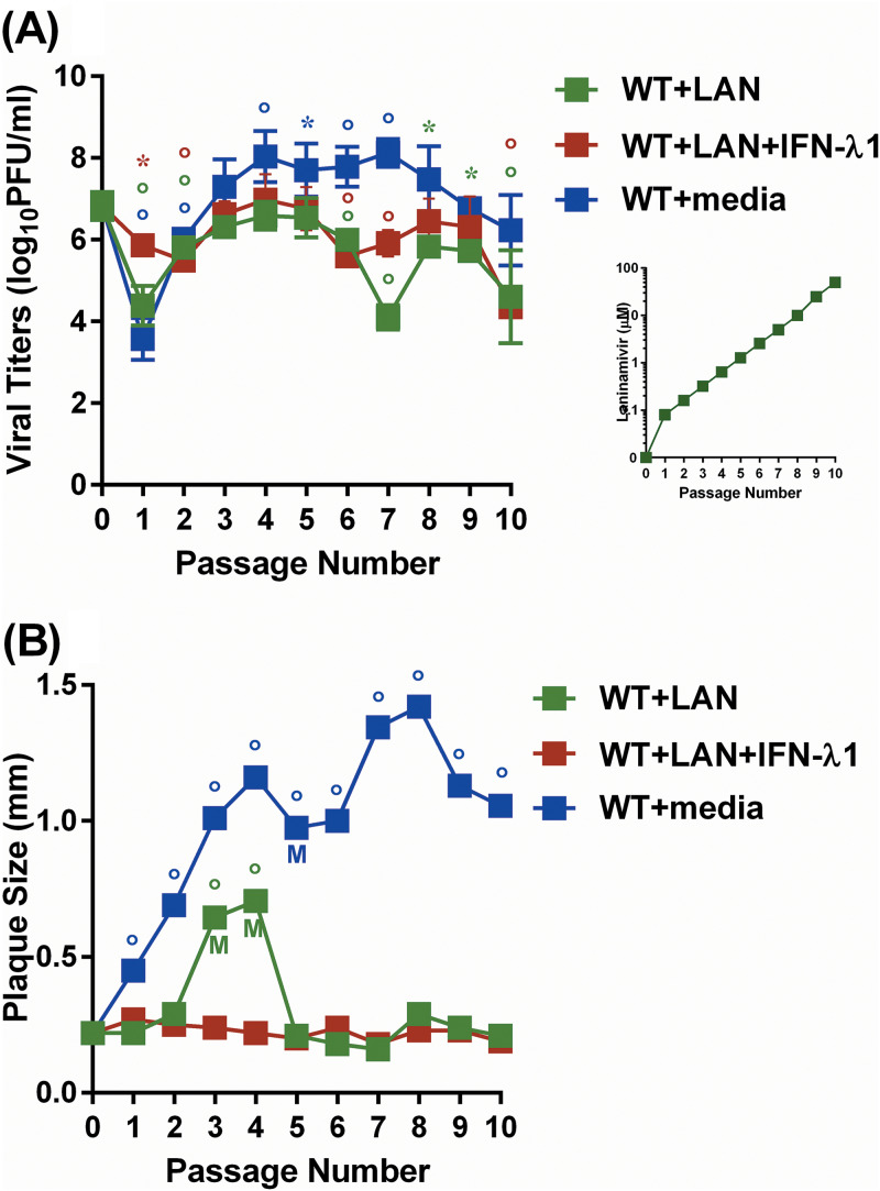 FIG 3