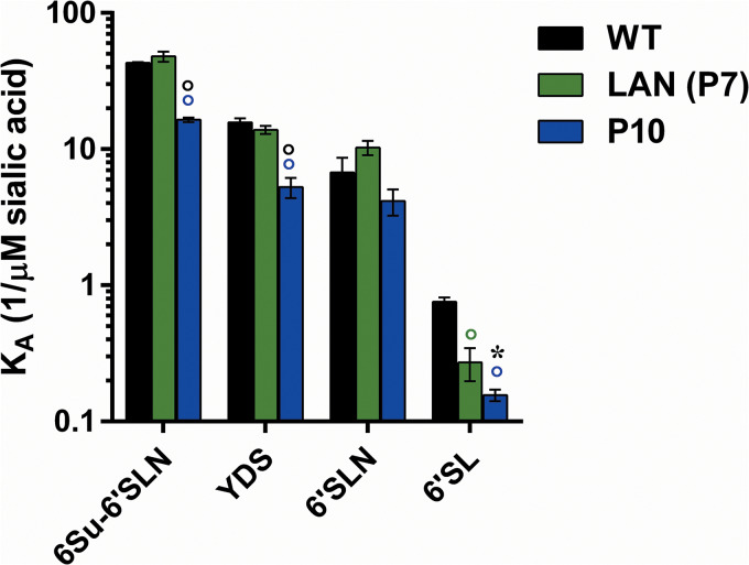 FIG 5