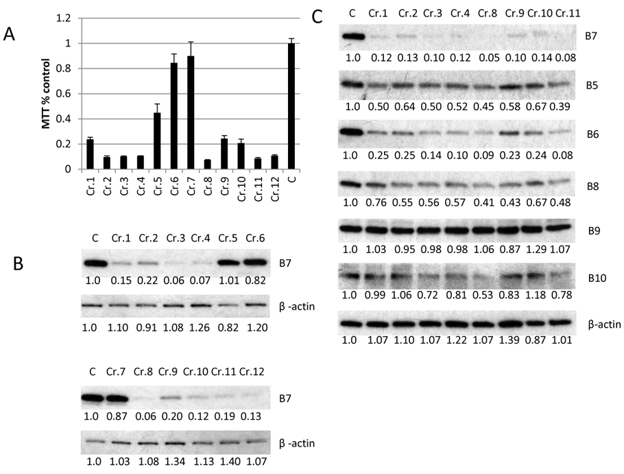 Figure 6.