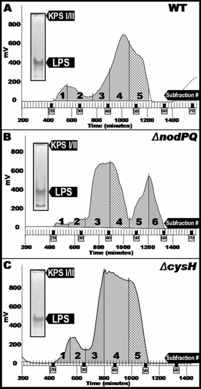 FIG. 5.