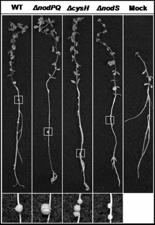 FIG. 8.