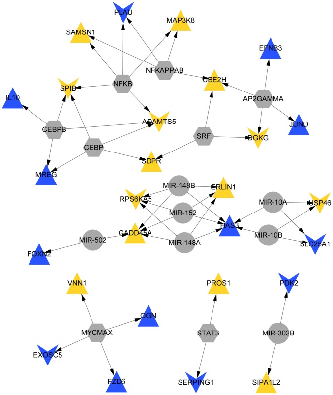 Figure 5.