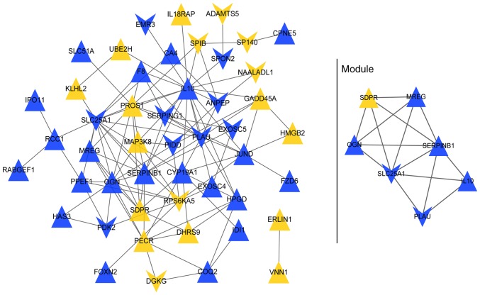 Figure 4.