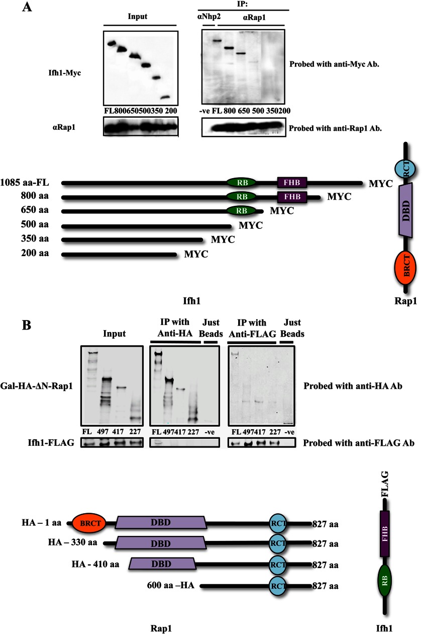 FIGURE 7.