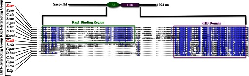 FIGURE 1.