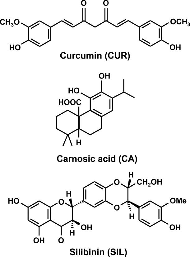 Fig. 1