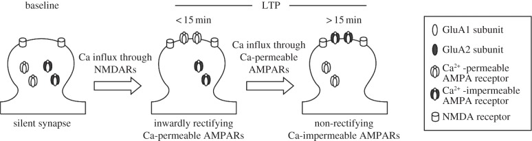 Figure 4.