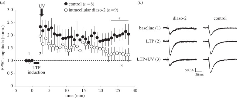 Figure 3.