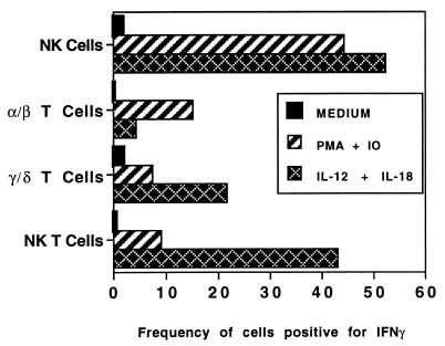 FIG. 5