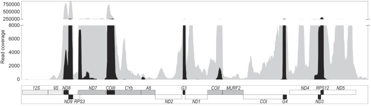 Figure 4.