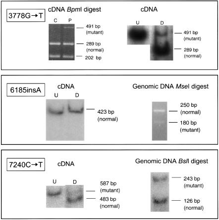 Figure  2