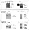Figure  2