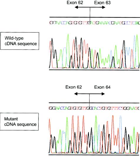 Figure  1