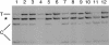 Figure  3