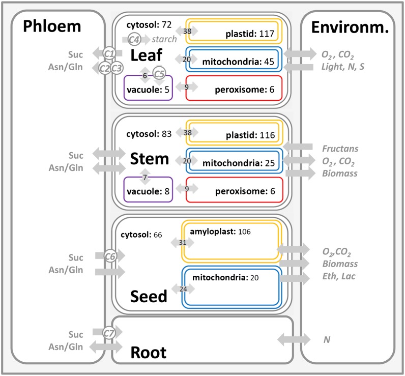 Figure 3.