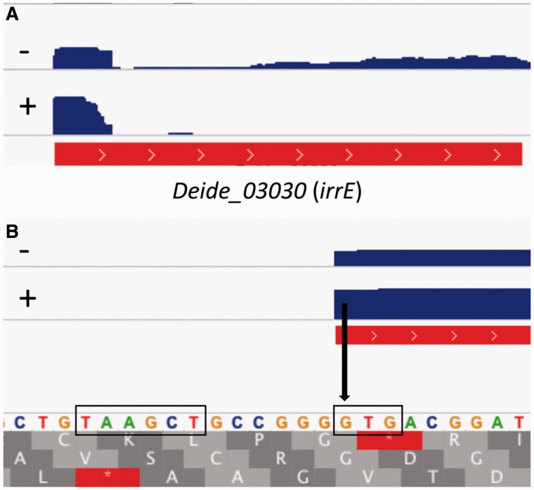 Fig. 3.—