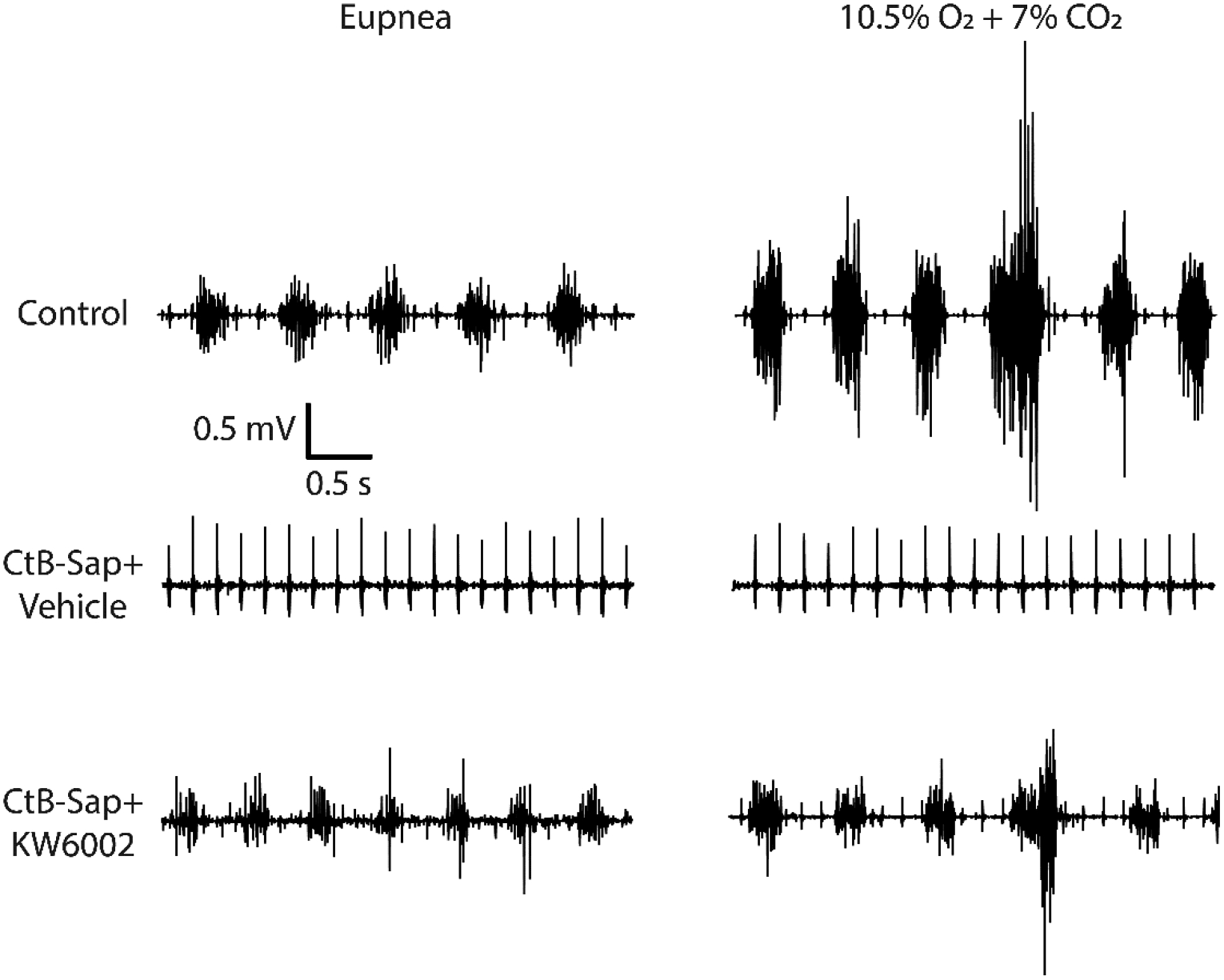 Figure 4: