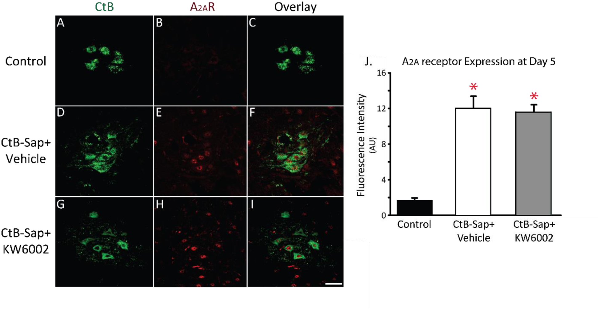 Figure 2: