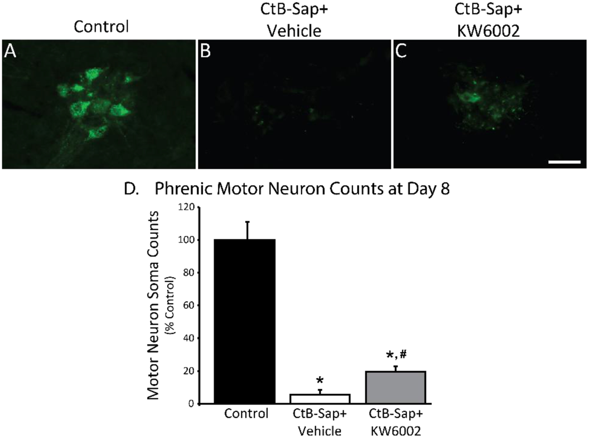 Figure 3: