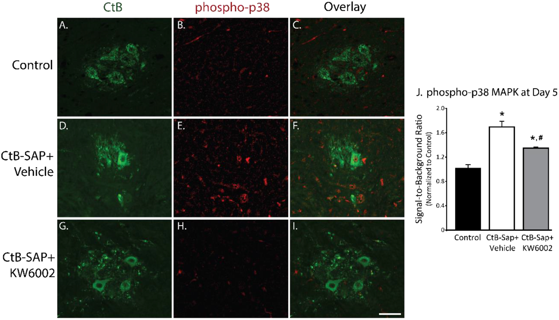 Figure 6: