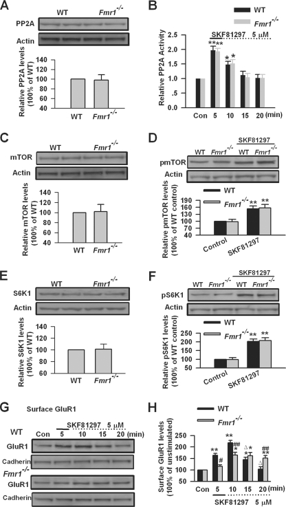 FIGURE 10.