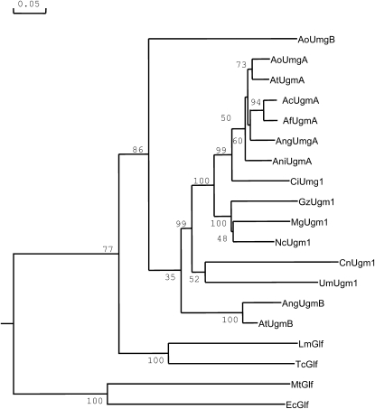 Figure 3.—