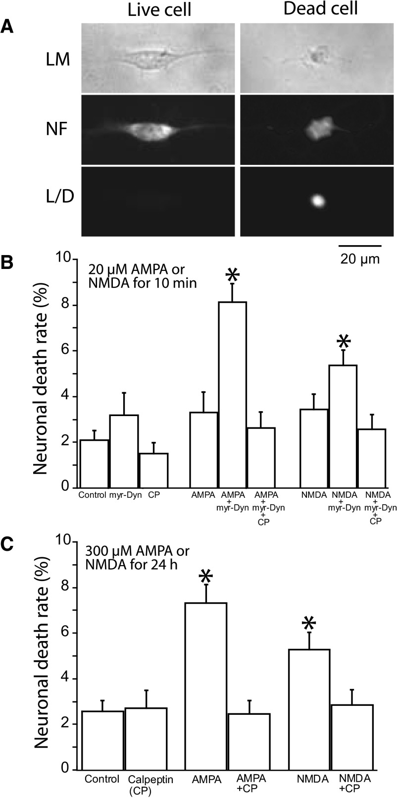 FIG. 4.