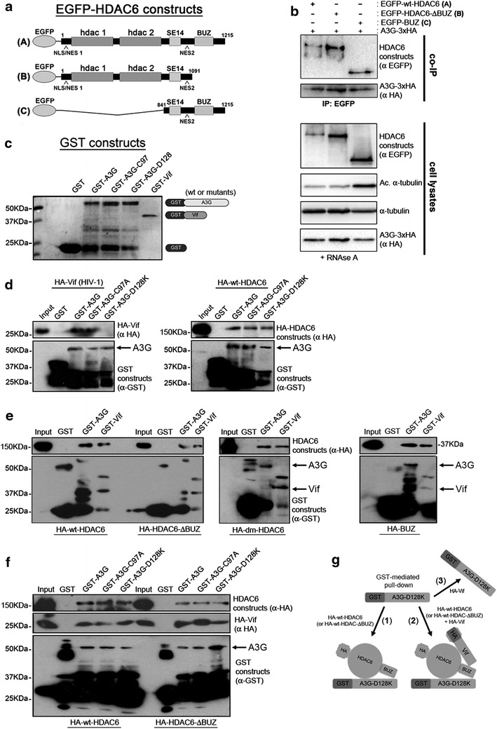 Figure 6