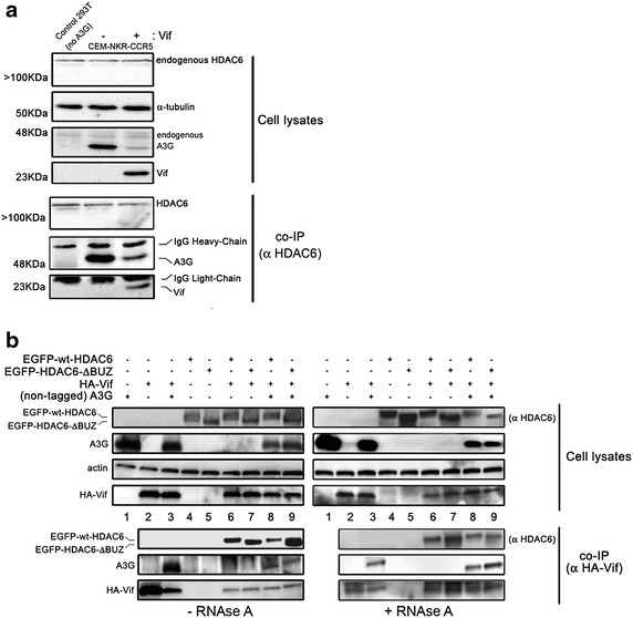 Figure 7